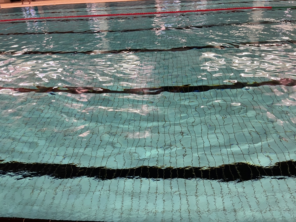 Vatten i en simbassäng