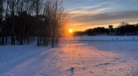 soluppgång i vinterlandskap