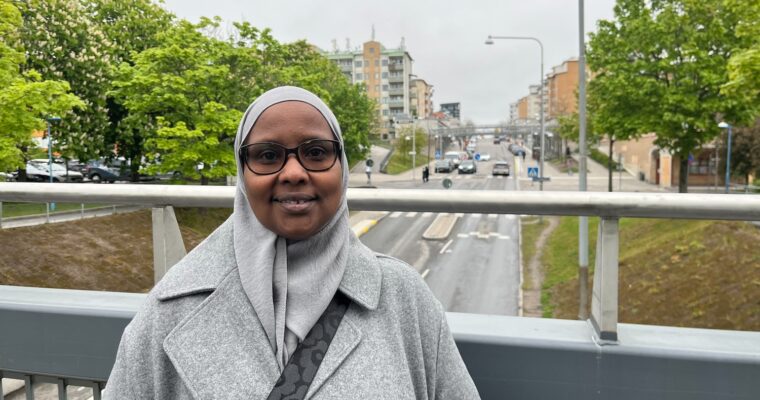 Fardosa står på. ron över Rinkebystråket, man ser träd och hus.