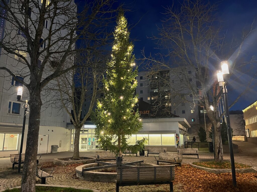 Julgranen i Husby centrum.