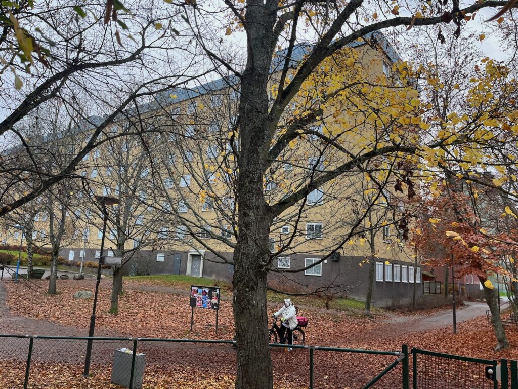 En liten låda under taket på skolan.
