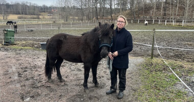 Kvinna och häst i enhage.