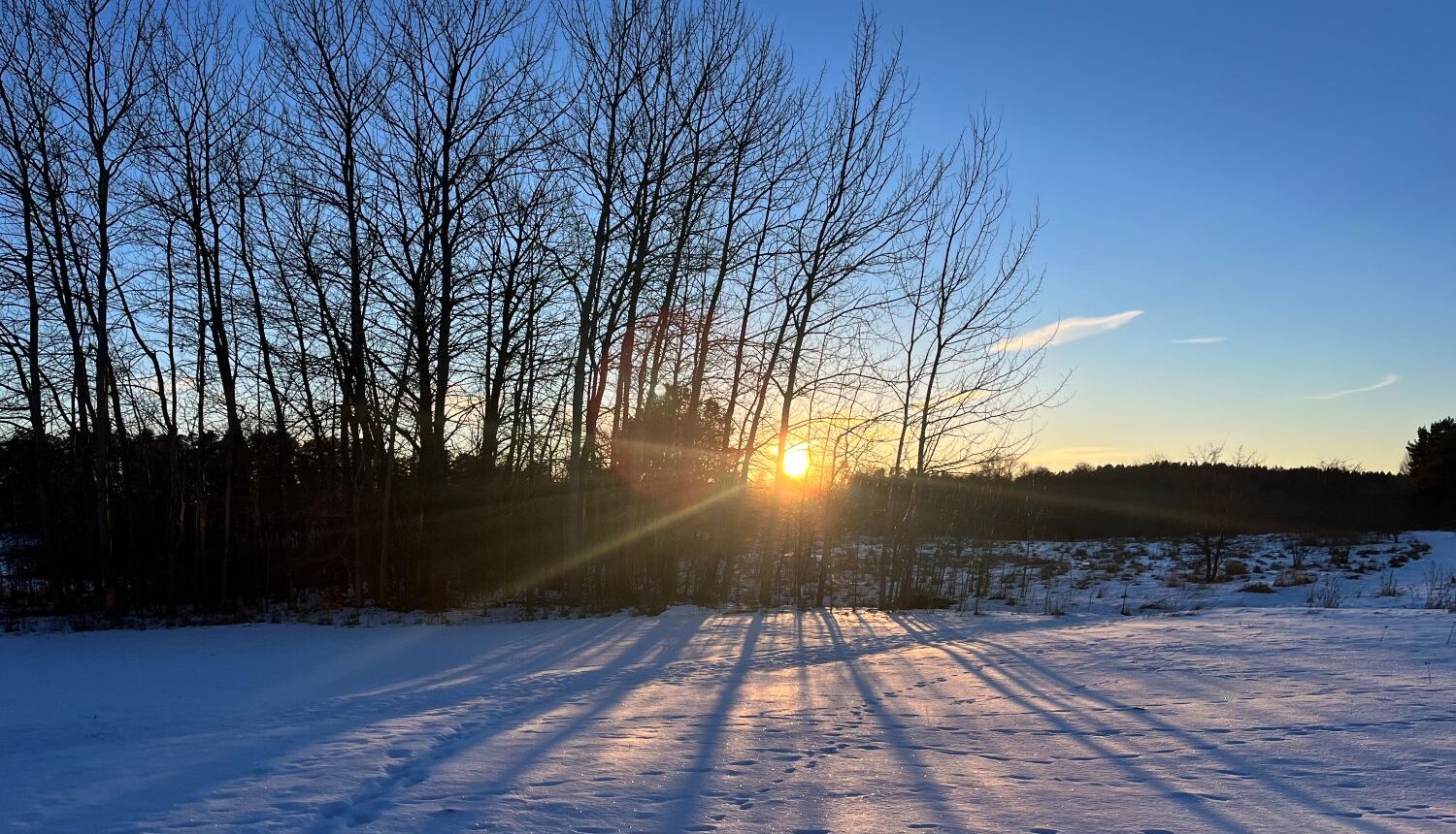 bild på snöklätt fält