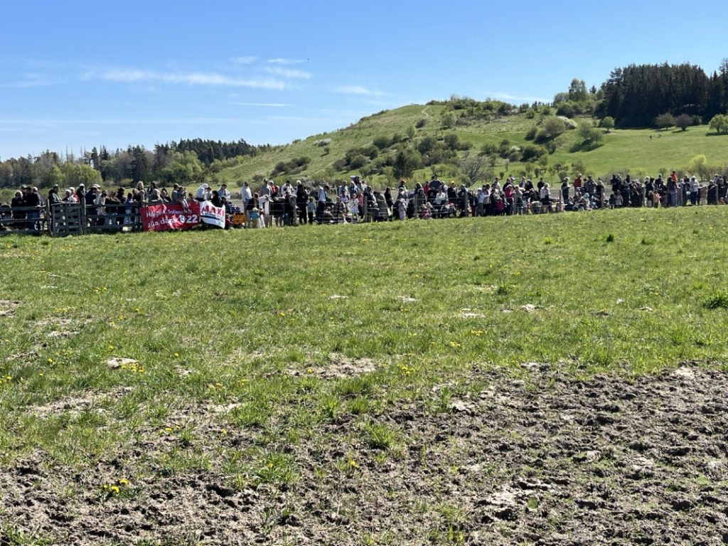 Massor med människor kom till Hästa gård för att se korna släppas ut.