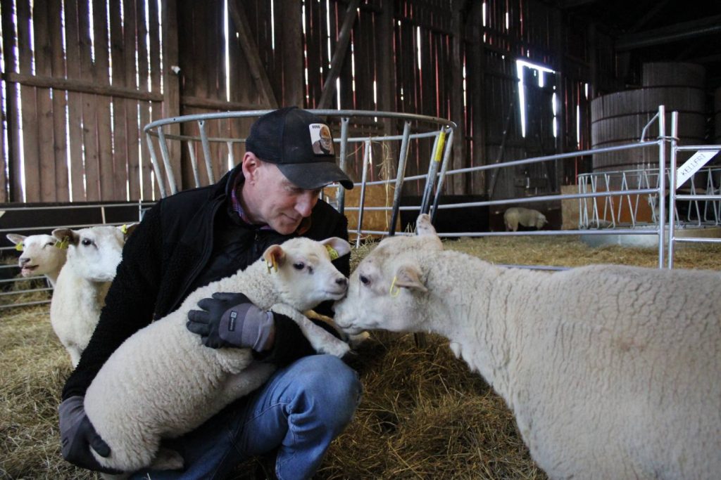 Anders Ström hos lammen