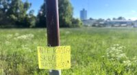 handskriven lapp på en lyktstolpe där det står "inte kasta skräp i naturen"