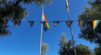 Prideflaggan i Pilparken klipptes sönder och alla vimplar togs ned.