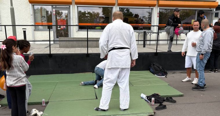 Kampsportträning under Husbyfestivalen 2025.