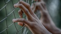 barnhänder håller i ett fängelsegaller