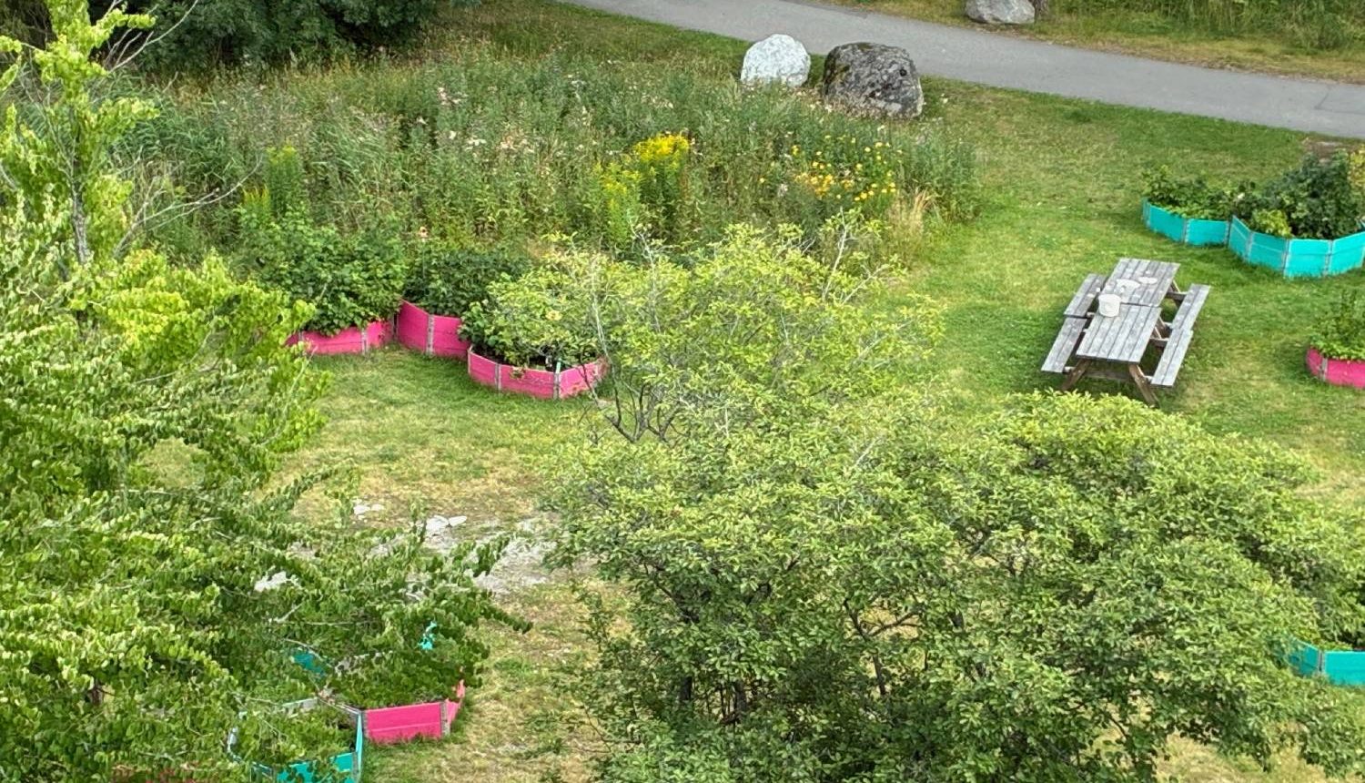 Blomsterängen utanför Mats Leanders hus i Husby.