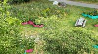 Blomsterängen utanför Mats Leanders hus i Husby.