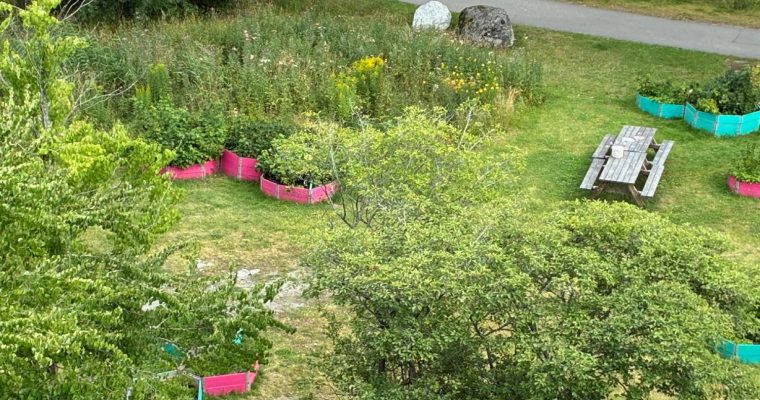 Blomsterängen utanför Mats Leanders hus i Husby.